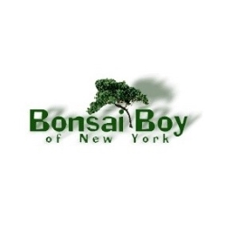 Bonsai Boy