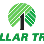 Dollar Tree