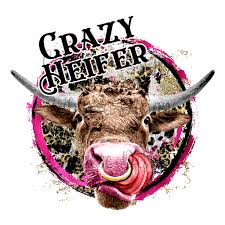 Crazy Heifer Boutique
